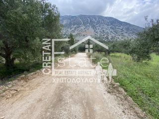 Αγροτεμάχια 2.600 τ.μ. προς πώληση, Καβούσι Ιεράπετρας-thumb-10