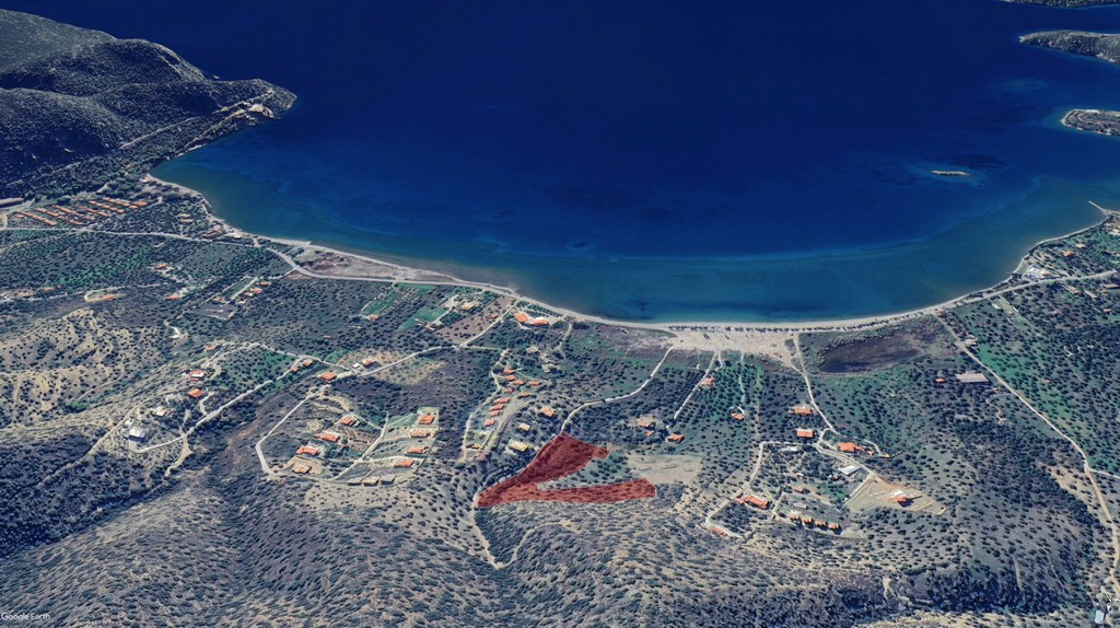 Αγροτεμάχια 10.659 τ.μ. προς πώληση, Αχλαδίτσα