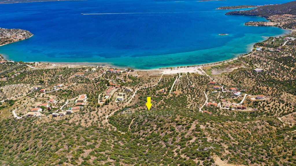 Αγροτεμάχια 10.659 τ.μ. προς πώληση, Αχλαδίτσα