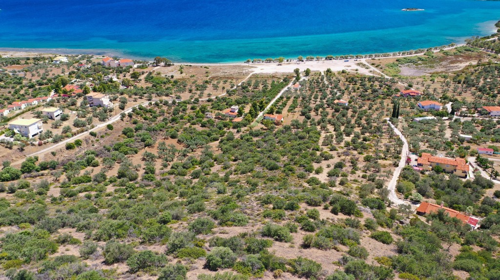 Αγροτεμάχια 10.659 τ.μ. προς πώληση, Αχλαδίτσα