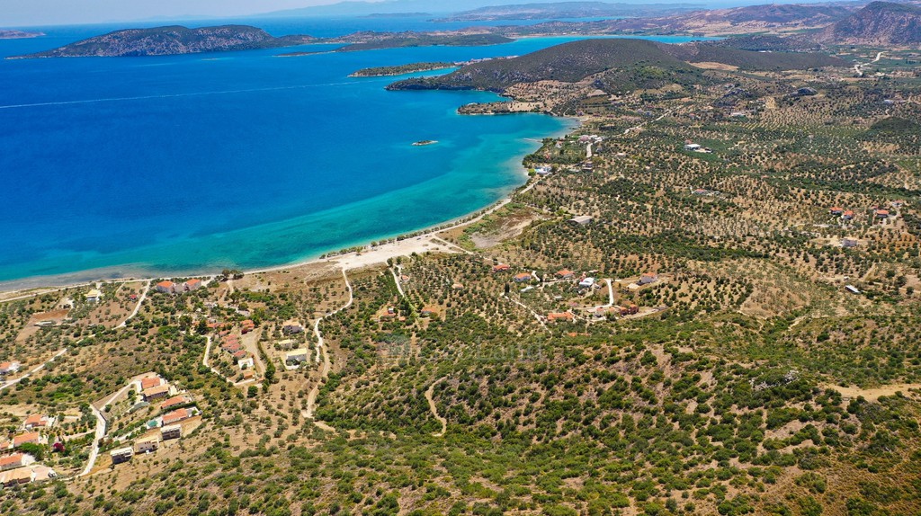 Αγροτεμάχια 10.659 τ.μ. προς πώληση, Αχλαδίτσα