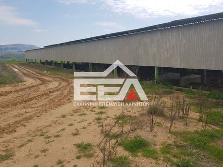 Αποθήκη 28.000τ.μ. για πώληση-Ωραιόκαστρο » Βι.πα.