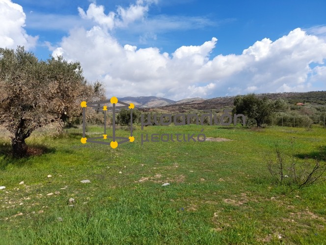 Αγροτεμάχια 4.000 τ.μ. πρός πώληση, Εβρος, Αλεξανδρούπολη