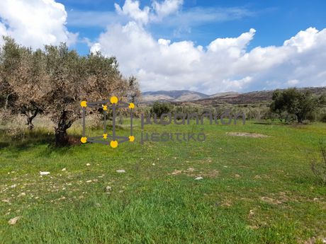 Parcel 4.000sqm for sale-Alexandroupoli » Dikella