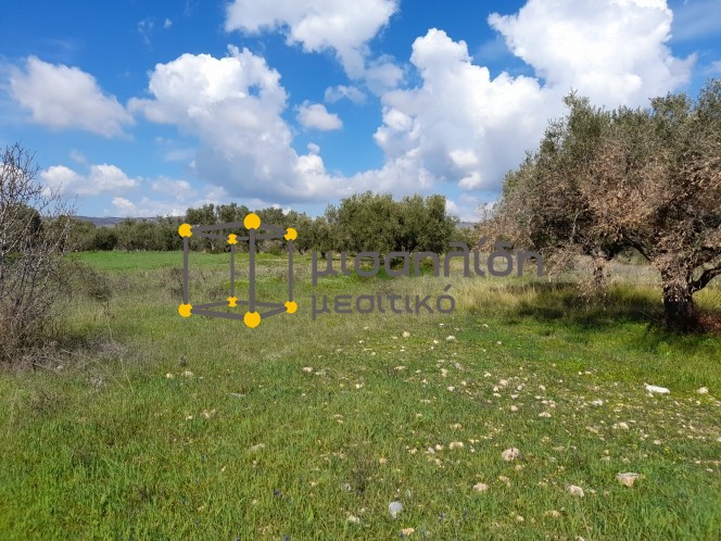 Αγροτεμάχια 4.000 τ.μ. πρός πώληση, Εβρος, Αλεξανδρούπολη