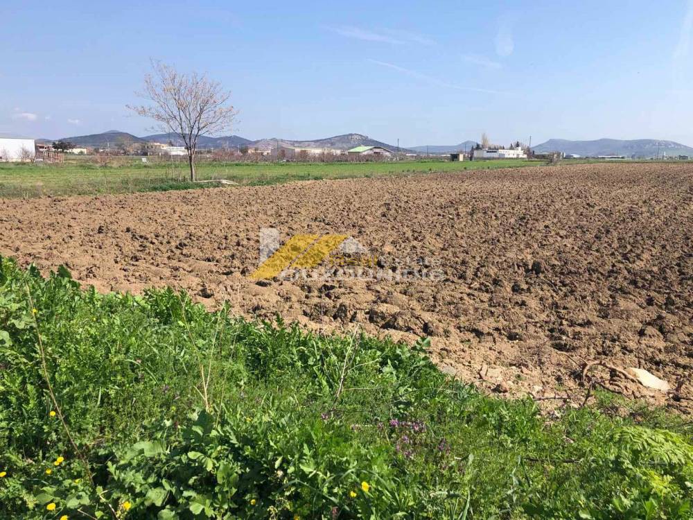 Αγροτεμάχια 9.200 τ.μ. προς πώληση, Άνθεια Τραϊανούπολης