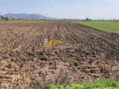 Parcel 9.200sqm for sale-Traianoupoli » Antheia
