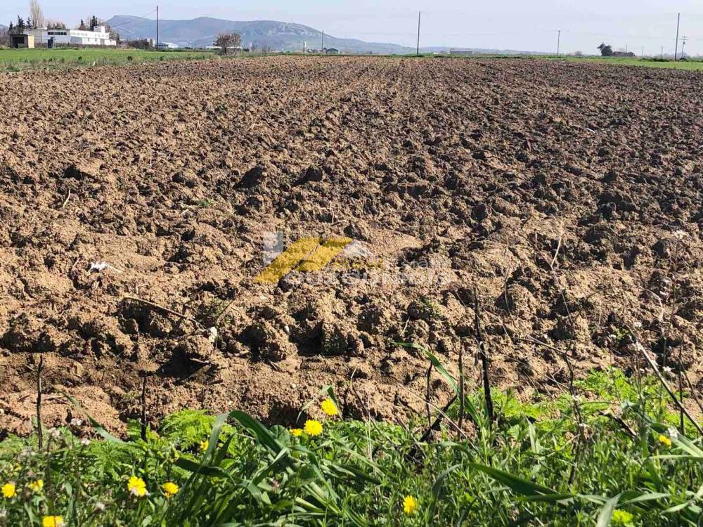 Αγροτεμάχια 9.200 τ.μ. προς πώληση, Άνθεια Τραϊανούπολης