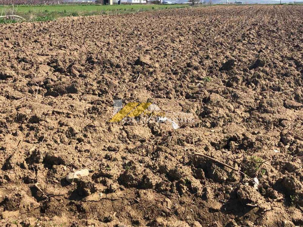 Αγροτεμάχια 9.200 τ.μ. προς πώληση, Άνθεια Τραϊανούπολης