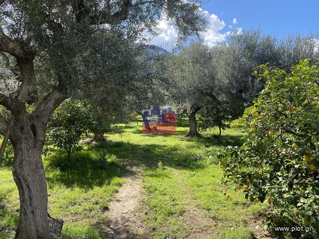 Οικόπεδο 1.513 τ.μ. για πώληση