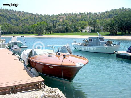 Μονοκατοικία 5.500 τ.μ. για πώληση