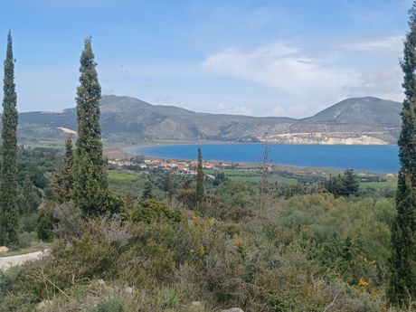 Parcel 4.160sqm for sale-Kefalonia » Paliki