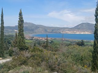 Αγροτεμάχια 4.160 τ.μ. για πώληση