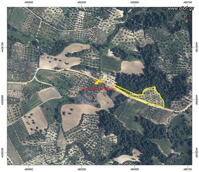 Parcel 9.590sqm for sale-Kassandra » Fourka