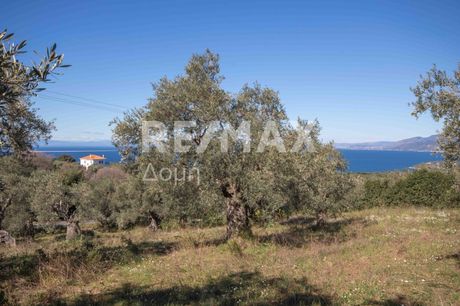 Parcel 6.922sqm for sale-Argalasti » Lefokastro
