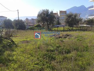 Οικόπεδο 324 τ.μ. για πώληση, Φθιώτιδας, Λαμία-thumb-8