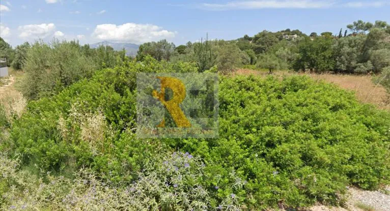 Land plot 531 sqm for sale, Athens - East, Paiania