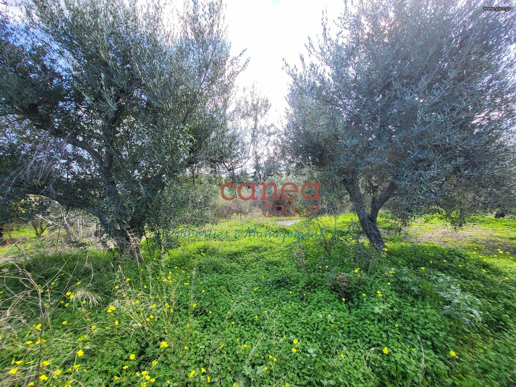 Οικόπεδο 802 τ.μ. προς πώληση, Παϊδοχώρι