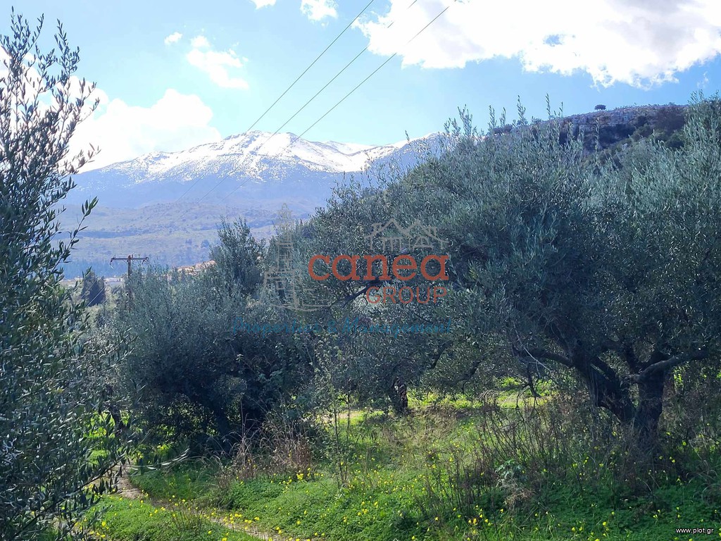 Οικόπεδο 802 τ.μ. προς πώληση, Παϊδοχώρι