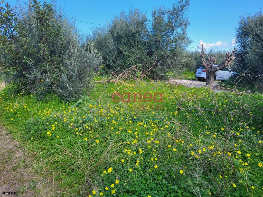 Οικόπεδο 802 τ.μ. προς πώληση, Παϊδοχώρι