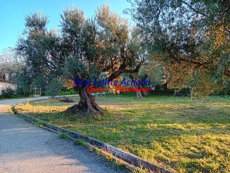 Οικόπεδο 649 τ.μ. προς πώληση, Αχαΐα, Ακράτα