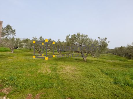 Parcel 2.500sqm for sale-Alexandroupoli » Nea Chili