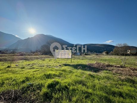 Parcel 6.650sqm for sale-Naousa » Agios Nikolaos