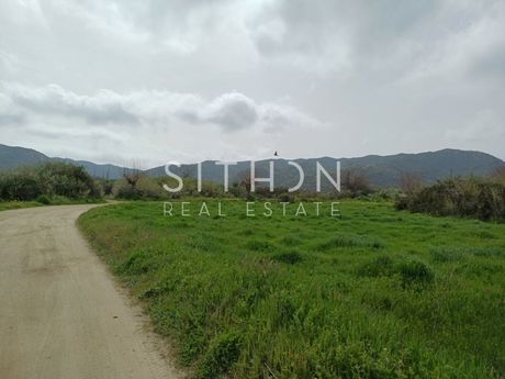 Αγροτεμάχια 977 τ.μ. για πώληση