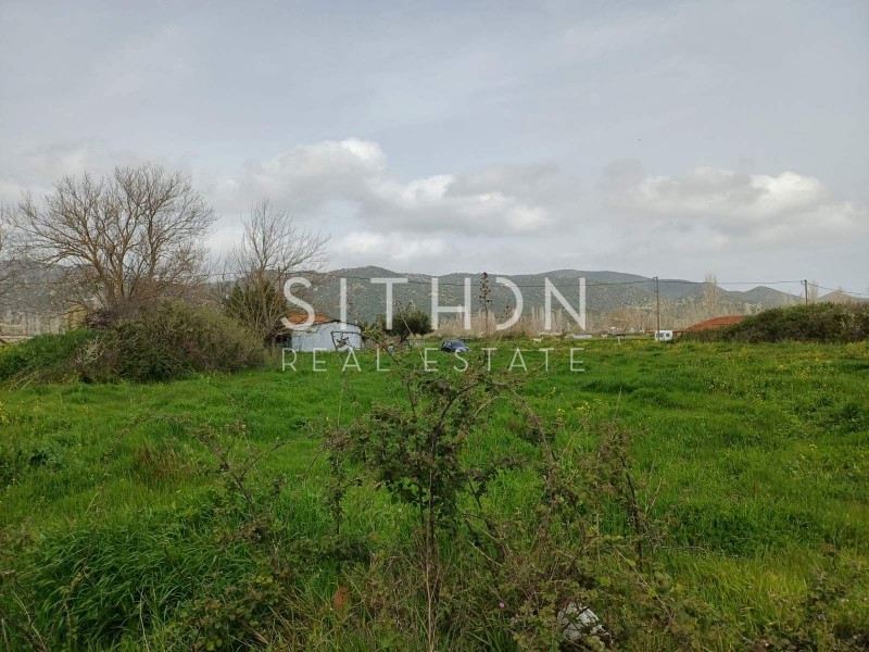 Αγροτεμάχια 767 τ.μ. προς πώληση, Συκιά Τορώνης