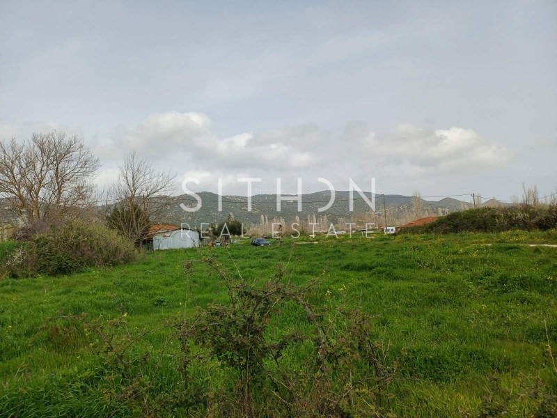 Αγροτεμάχια 767 τ.μ. προς πώληση, Συκιά Τορώνης
