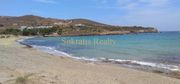 Οικόπεδο 42.000τ.μ. για πώληση-Αντίπαρος » Χώρα
