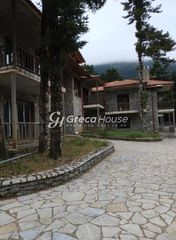 Ξενοδοχείο 1.000 τ.μ. για πώληση, Αρκαδία, Λεβίδι-thumb-13