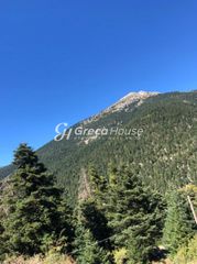 Ξενοδοχείο 1.000 τ.μ. για πώληση, Αρκαδία, Λεβίδι-thumb-4