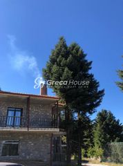 Ξενοδοχείο 1.000 τ.μ. για πώληση, Αρκαδία, Λεβίδι-thumb-22