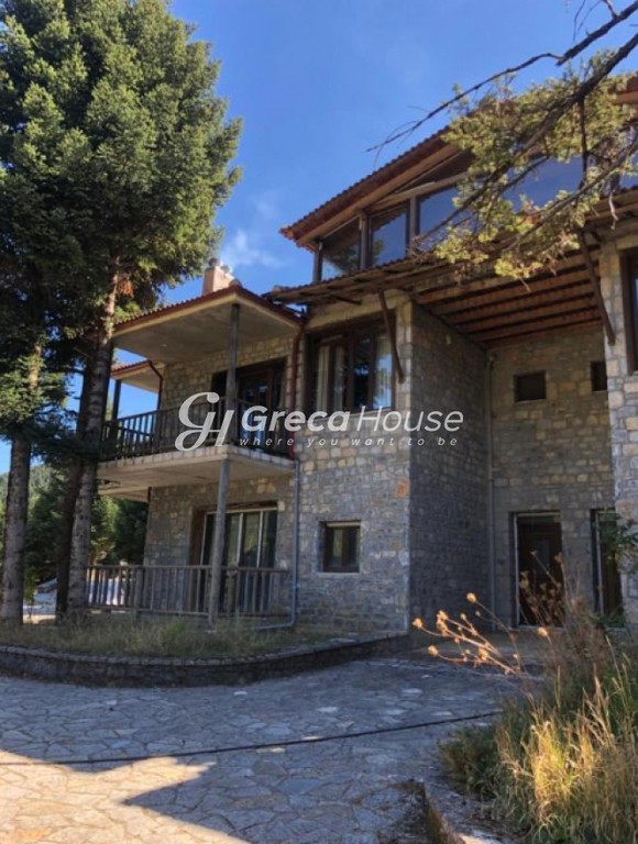Ξενοδοχείο 1.000 τ.μ. για πώληση, Αρκαδία, Λεβίδι