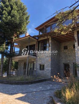 Hotel 1.000sqm for sale-Levidi » Kardaras