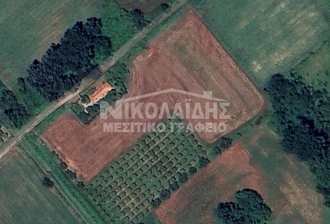 Αγροτεμάχια 15.000 τ.μ. πρός πώληση, Ν. Σερρών, Σέρρες