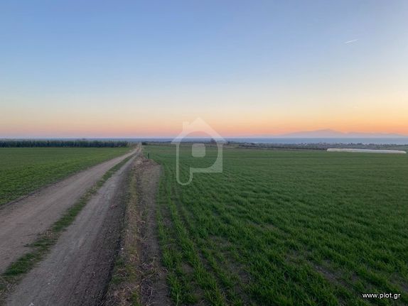 Parcel 5.600 sqm for sale, Thessaloniki - Suburbs, Epanomi