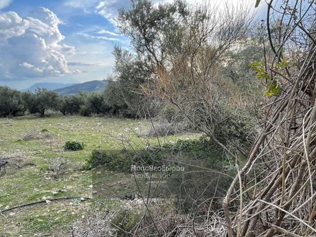 Οικόπεδο 1.035τ.μ. για πώληση-Μεσσατίδα » Άνω καλλιθέα