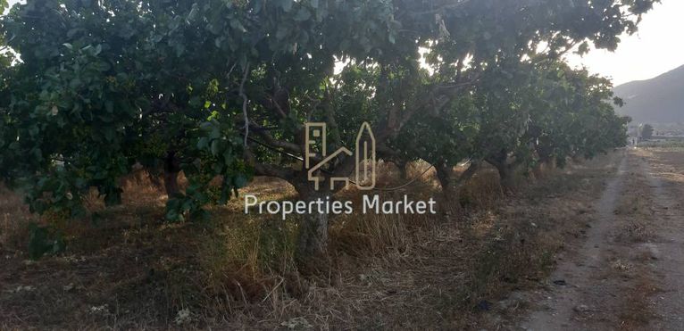 Land plot 1.600 sqm for sale, Rest Of Attica, Palaia Fokaia