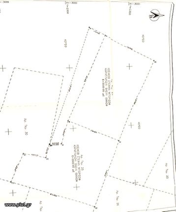 Land plot 7.000 sqm for sale, Rodopi Prefecture, Aigeiros