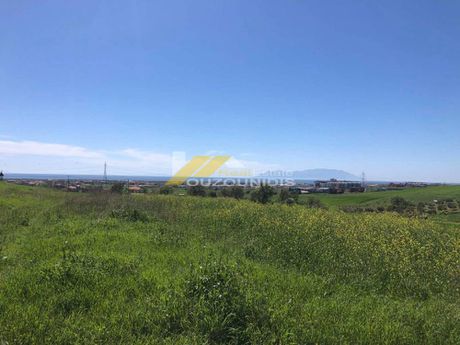 Parcel 5.600sqm for sale-Alexandroupoli » Apalos