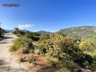Οικόπεδο 420 τ.μ. για πώληση, Αργολίδα, Επίδαυρος-thumb-6