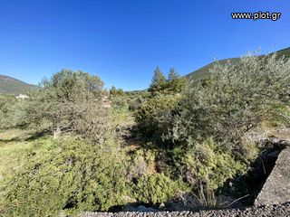 Οικόπεδο 420 τ.μ. για πώληση, Αργολίδα, Επίδαυρος-thumb-9