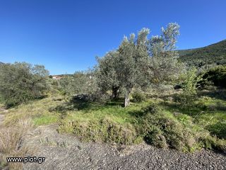 Οικόπεδο 420 τ.μ. για πώληση, Αργολίδα, Επίδαυρος-thumb-11