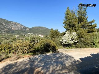 Οικόπεδο 420 τ.μ. για πώληση, Αργολίδα, Επίδαυρος-thumb-15