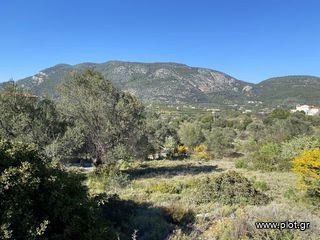 Οικόπεδο 420 τ.μ. για πώληση, Αργολίδα, Επίδαυρος-thumb-18