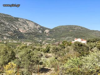Οικόπεδο 420 τ.μ. για πώληση, Αργολίδα, Επίδαυρος-thumb-25