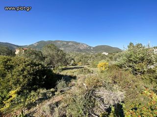 Οικόπεδο 420 τ.μ. για πώληση, Αργολίδα, Επίδαυρος-thumb-28