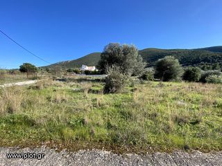 Οικόπεδο 420 τ.μ. για πώληση, Αργολίδα, Επίδαυρος-thumb-8